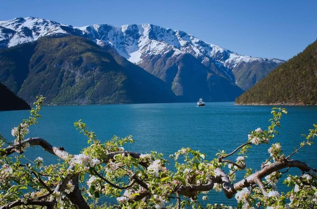 Nedre Amla Fjord Apartment カウパンゲル エクステリア 写真