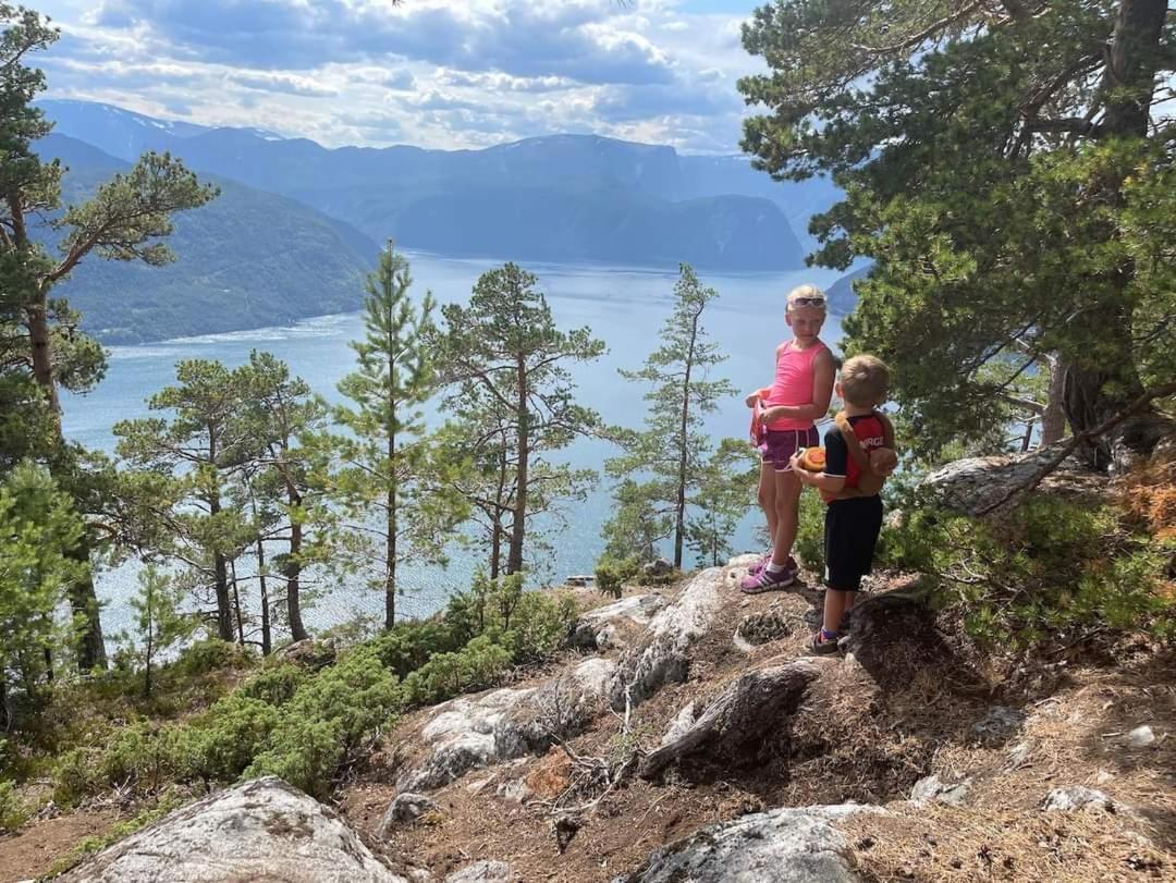 Nedre Amla Fjord Apartment カウパンゲル エクステリア 写真